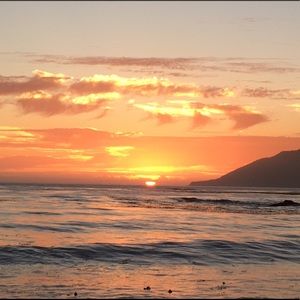 Meet your Posher, Logan